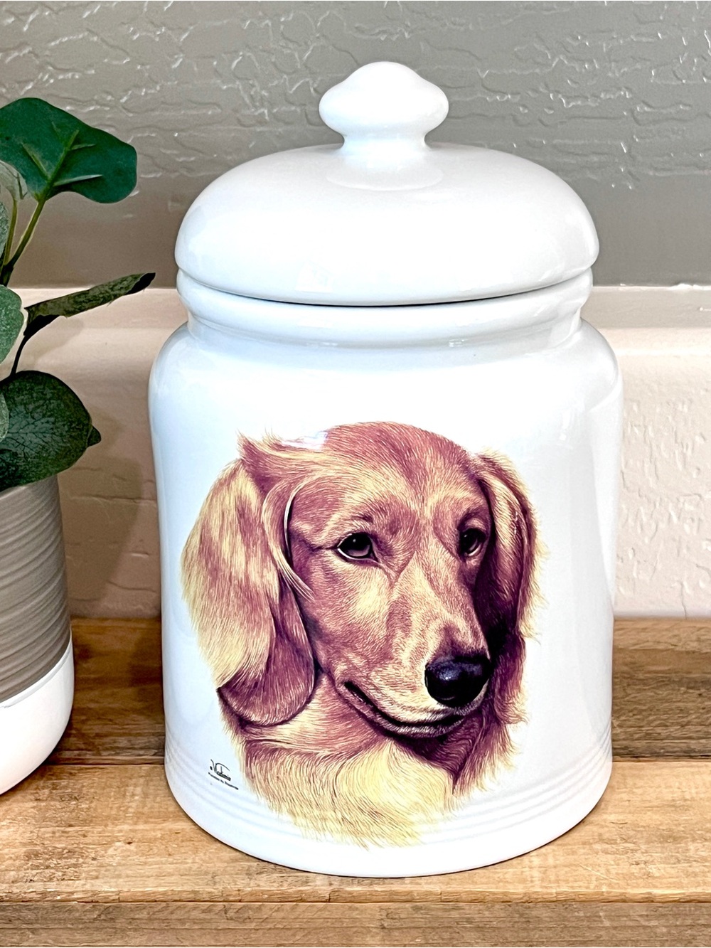 Large Vintage Porcelain by Rosalinde Longhaired Dachshund Treat Jar